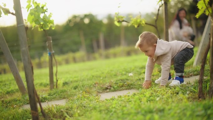 慢镜头:小男孩和爸爸一起在草地上学习走路时摔倒又爬起来。15个月大的幼儿