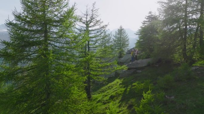 鸟瞰图，一对成熟的徒步夫妇在落叶松林中休息，欣赏高山景色