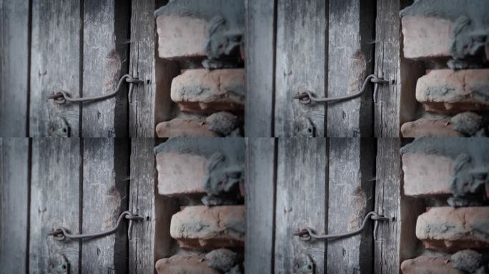 老旧的木门，锁在一个钢钩上，特写。暗淡，不饱和的颜色和相机抖动