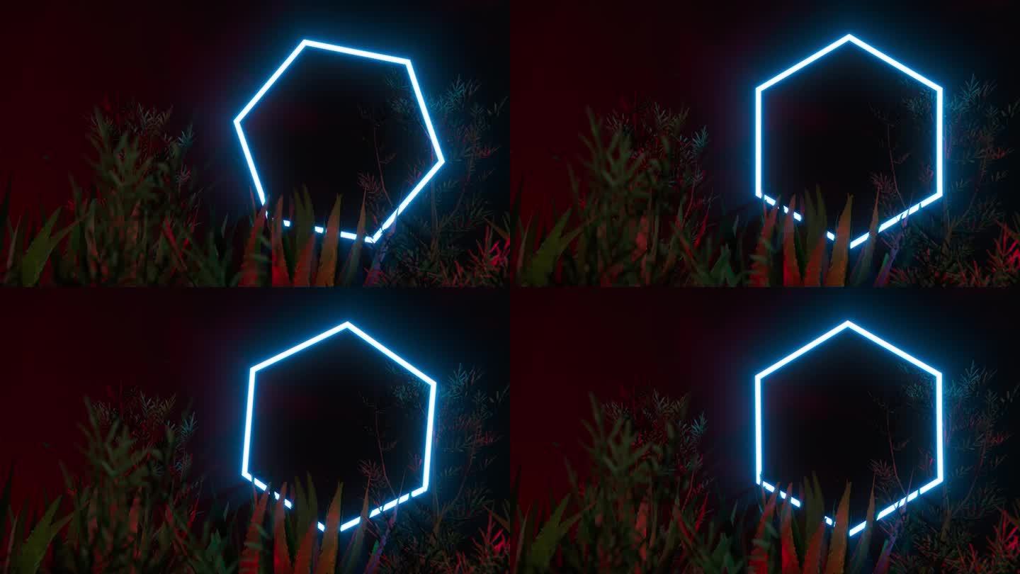 在热带植物中旋转的霓虹六边形。循环3d动画背景