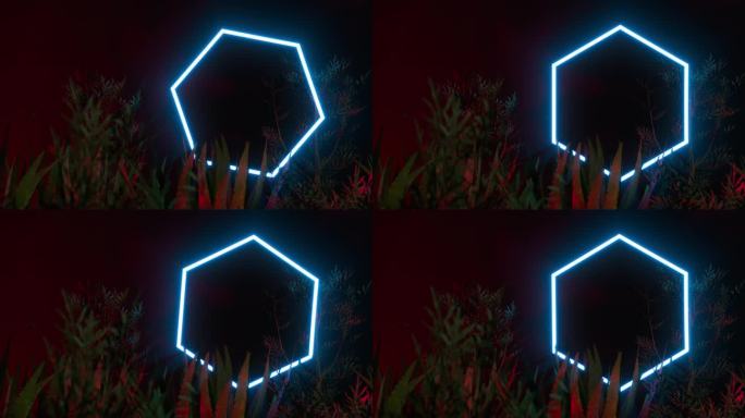 在热带植物中旋转的霓虹六边形。循环3d动画背景