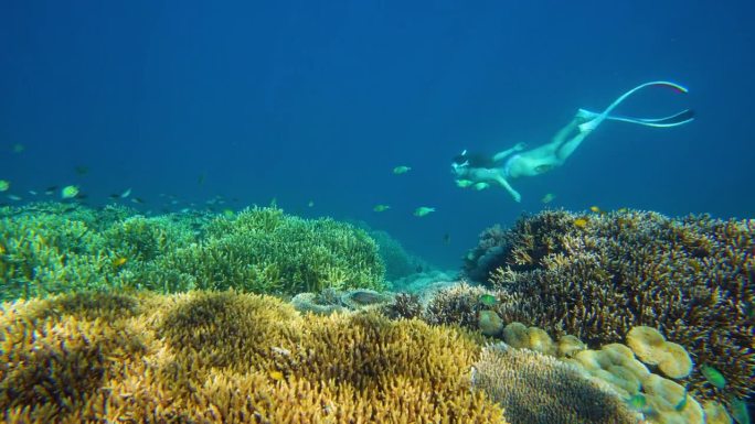 妇女们在富饶美丽的珊瑚礁周围浮潜