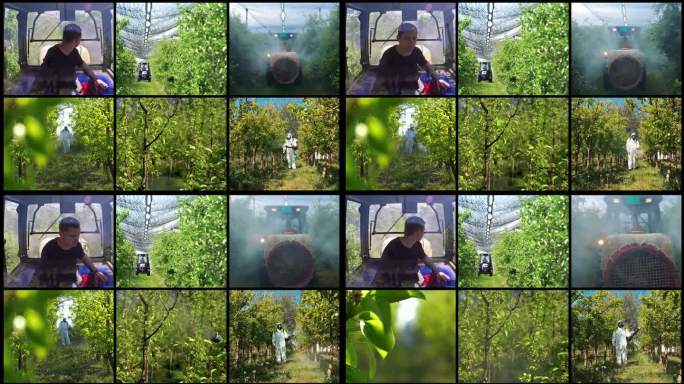 果园喷洒-多屏幕视频蒙太奇