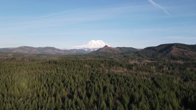 雷尼尔山