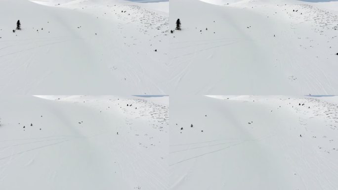 自由式滑雪者在高山的新粉雪上脱轨骑行。在雪山的原始地形上极限滑雪的鸟瞰图。
