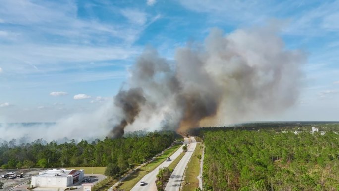 消防部门的消防车正在扑灭佛罗里达州丛林中严重燃烧的野火。紧急服务车辆试图扑灭森林大火