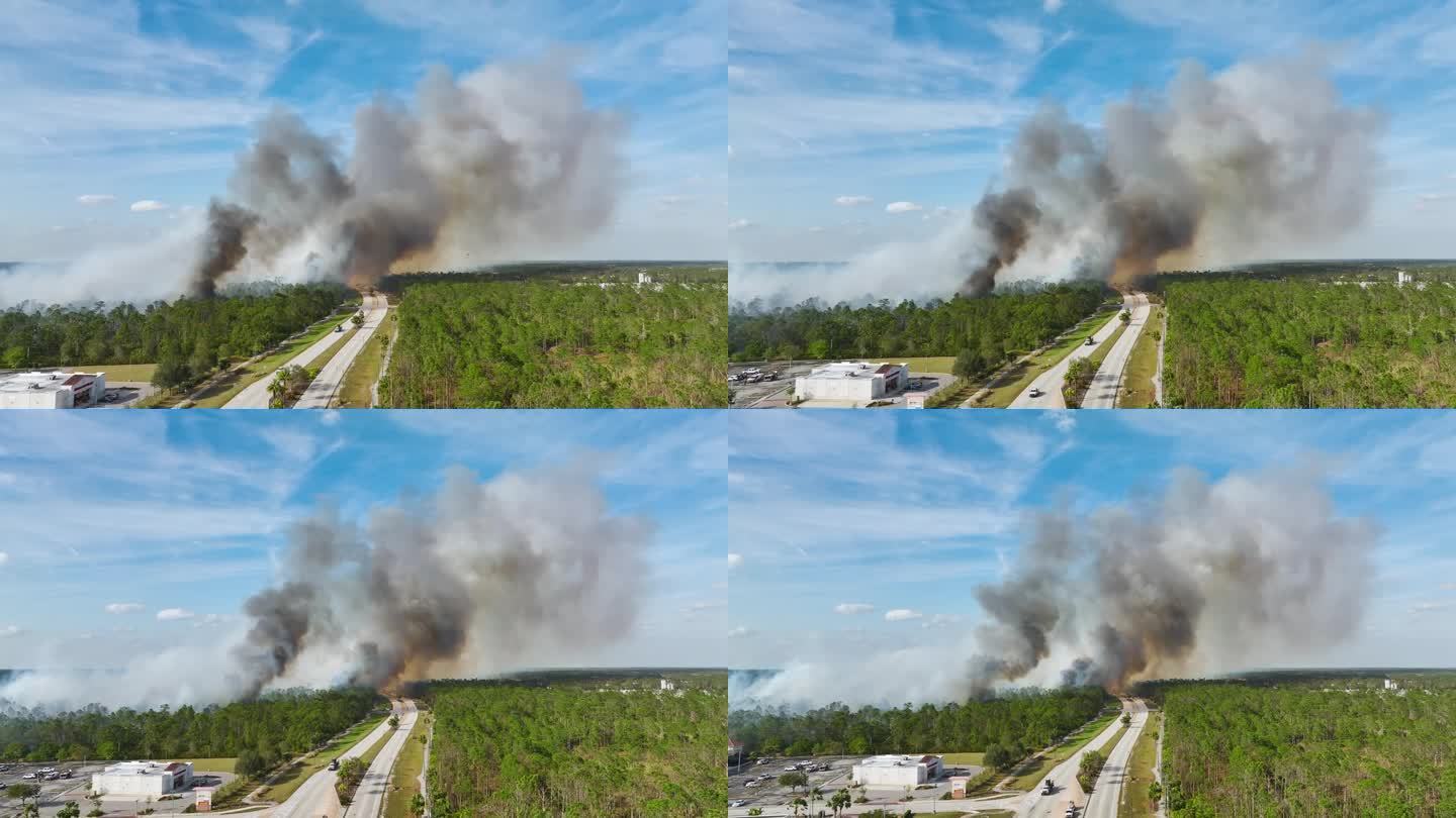 消防部门的消防车正在扑灭佛罗里达州丛林中严重燃烧的野火。紧急服务车辆试图扑灭森林大火