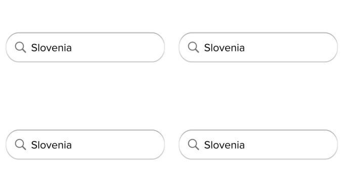 Www搜索栏图标与斯洛文尼亚文本隔离在白色背景上