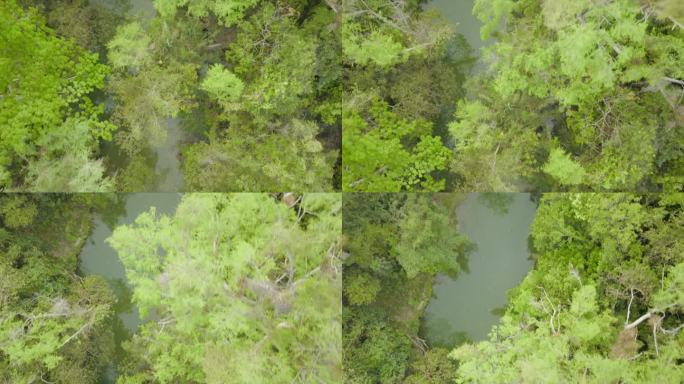 无人机拍摄的河流穿过丛林/森林的照片
