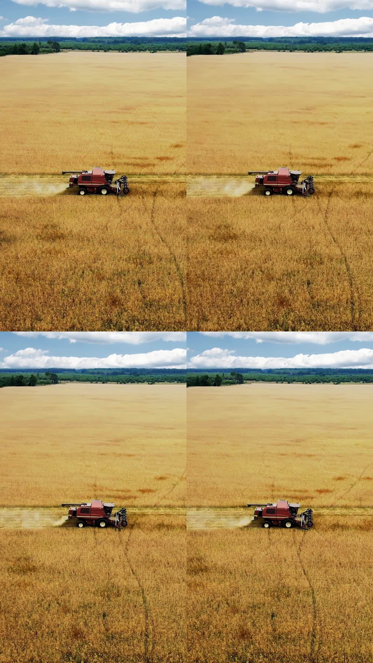 垂直视频无人机拍摄飞过联合收割机在麦田工作。粮食危机。乌克兰战争。世界粮食短缺