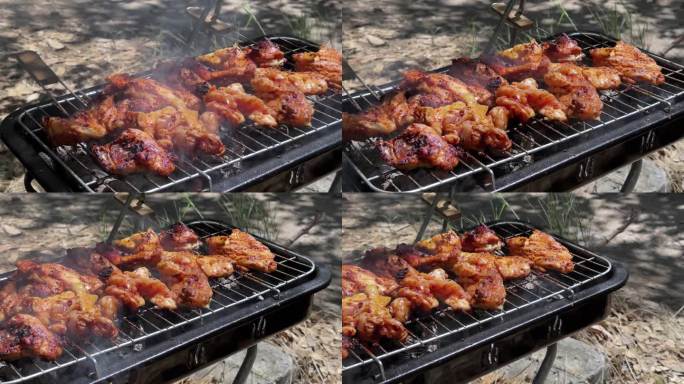 美味的鸡在烧烤煤火野餐