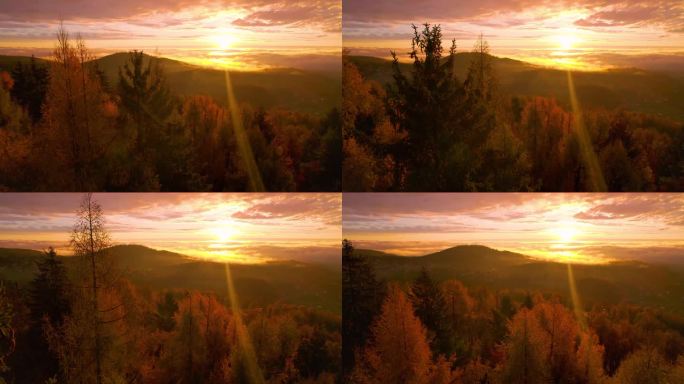 航拍，镜头光晕:早晨的第一缕阳光照在色彩斑斓的秋天森林上