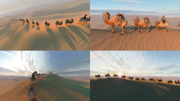 一带一路沙漠骆驼丝绸之路