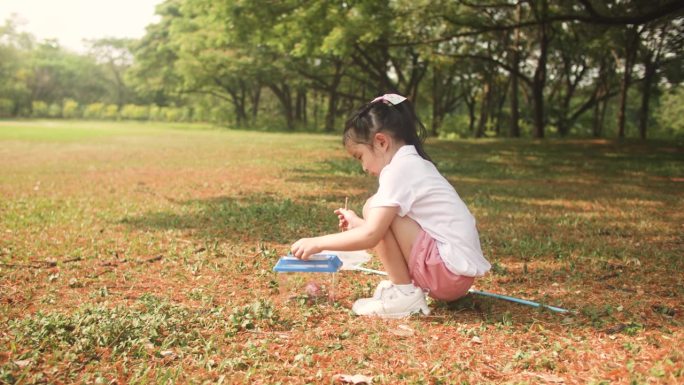 一个女孩在公园周围散步和探索大自然