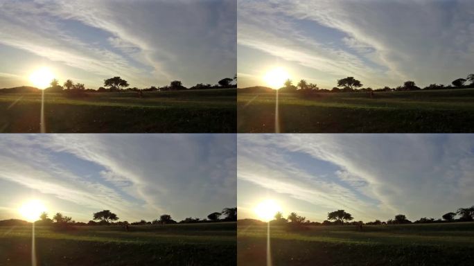 一群黑斑羚沐浴着温暖的朝阳，迎接南非的到来。