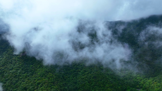 浙江 天目山 宁国 航拍3