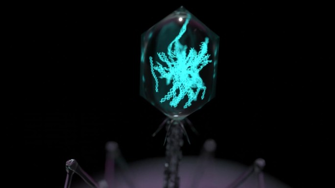 噬菌体。美丽的人造形状。