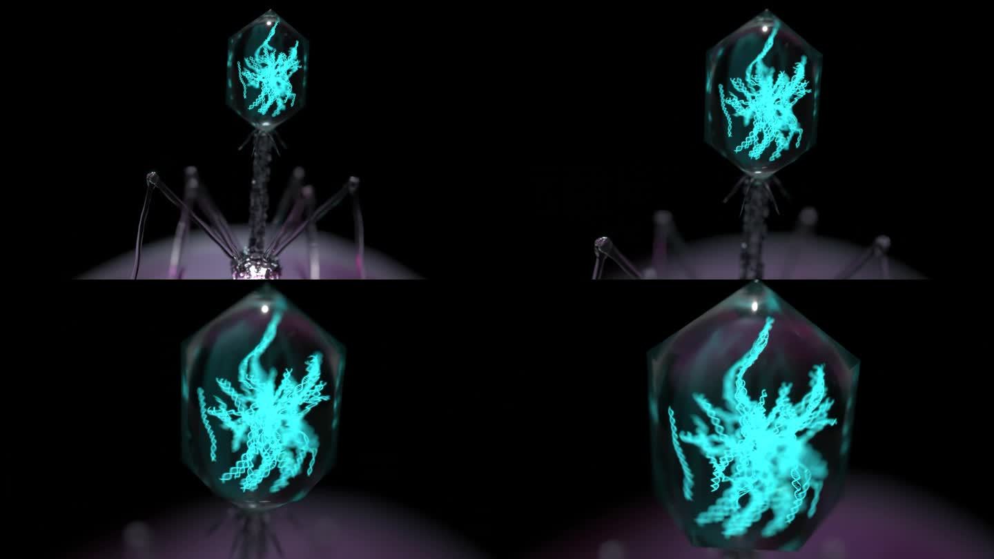 噬菌体。美丽的人造形状。