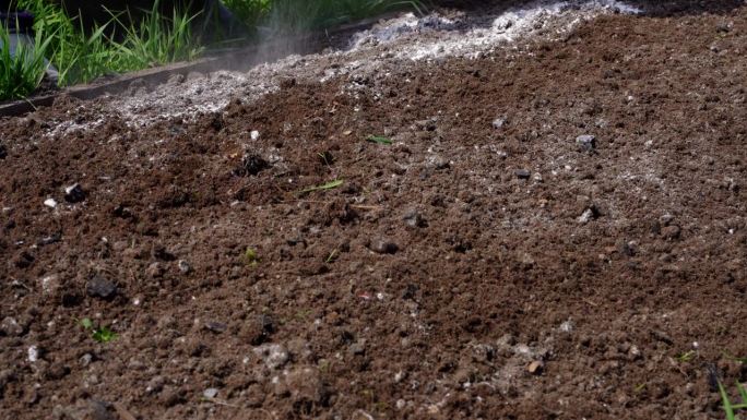 用白云石粉中和土壤酸性，为花园种植做准备