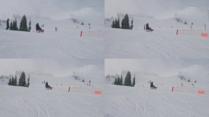 适应性运动员坐式滑雪