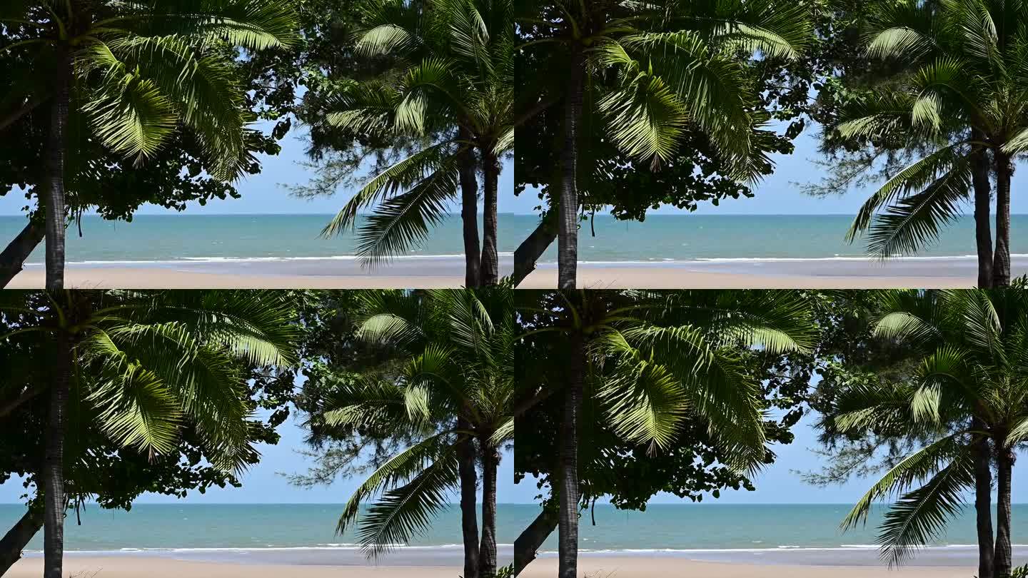 阳光明媚的日子里，通过椰子树欣赏热带海滩，棕榈树摇曳的慢动作场景