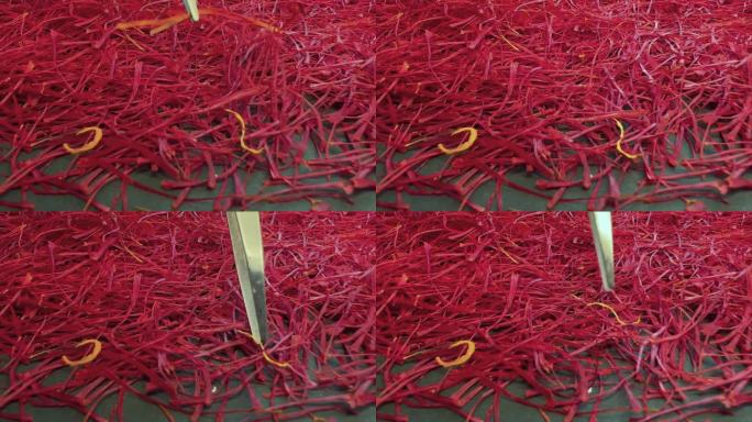 波斯藏红花质量控制过程