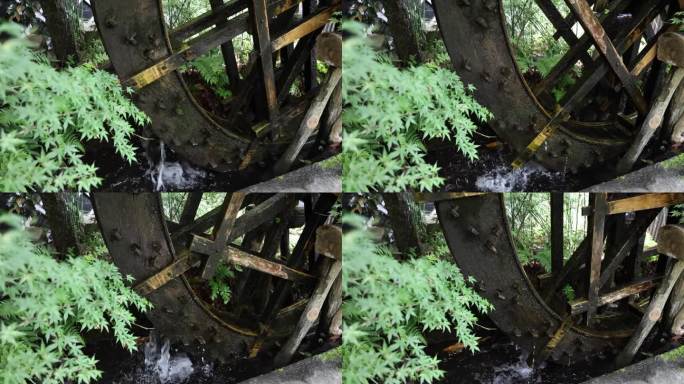 东京水面上的历史性木轮特写