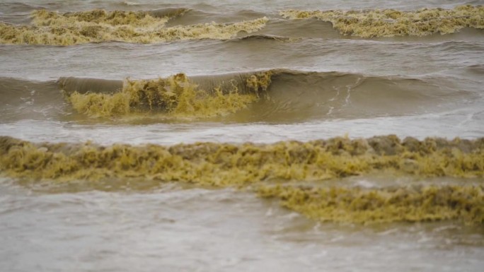 大海里的大浪打在沙滩上，海水浑浊。