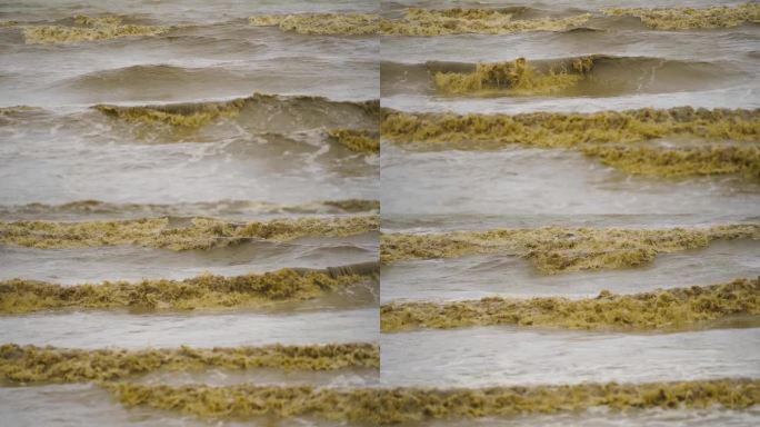 大海里的大浪打在沙滩上，海水浑浊。