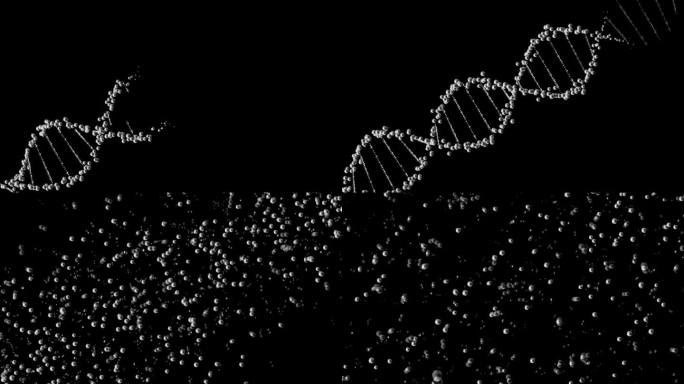 医学上的DNA染色体排列和断裂。DNA双螺旋结构。现代医学概念及人体与器官移植技术。