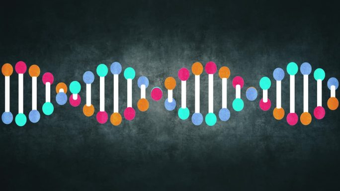 遗传DNA结构玩具城卖玩具旋转