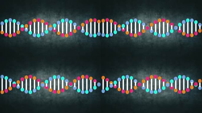 遗传DNA结构玩具城卖玩具旋转