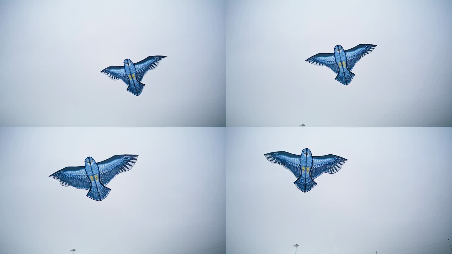 美丽的风筝在阴天的天空中飞舞。无忧无虑的蓝鸟猫头鹰在风中摇曳。