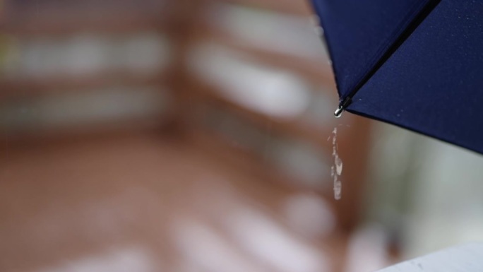 雨是怎么打在伞上的