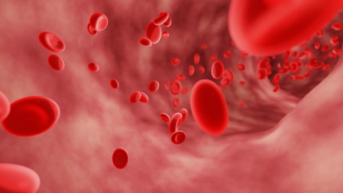 动脉或血管中的红血球