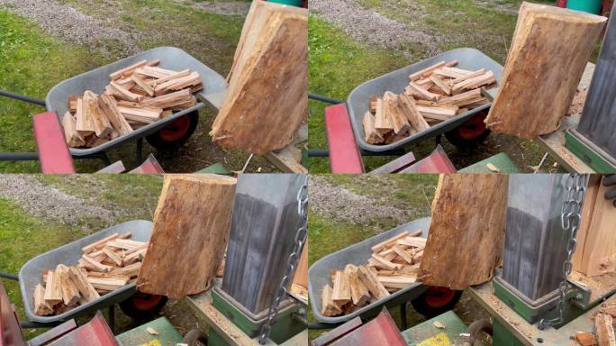 工人在削木机上砍柴，把柴火放在手推车上