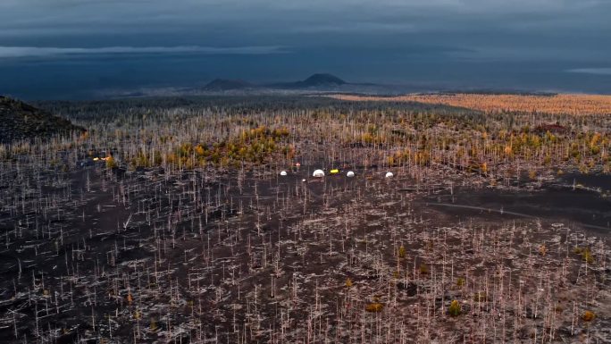 帐篷搭在黑色的火山土上