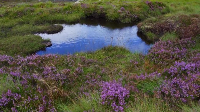 英国苏格兰乌拉波尔附近绿色山顶上的小湖。