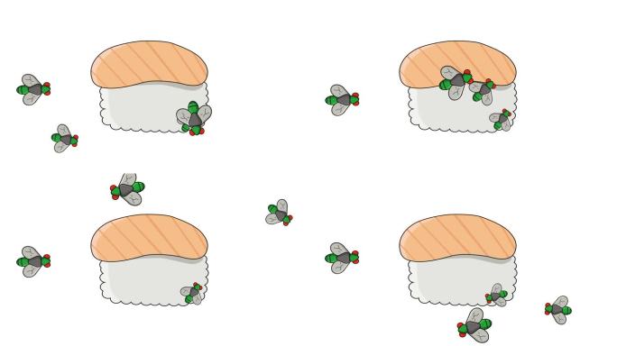 寿司挤满苍蝇的动画