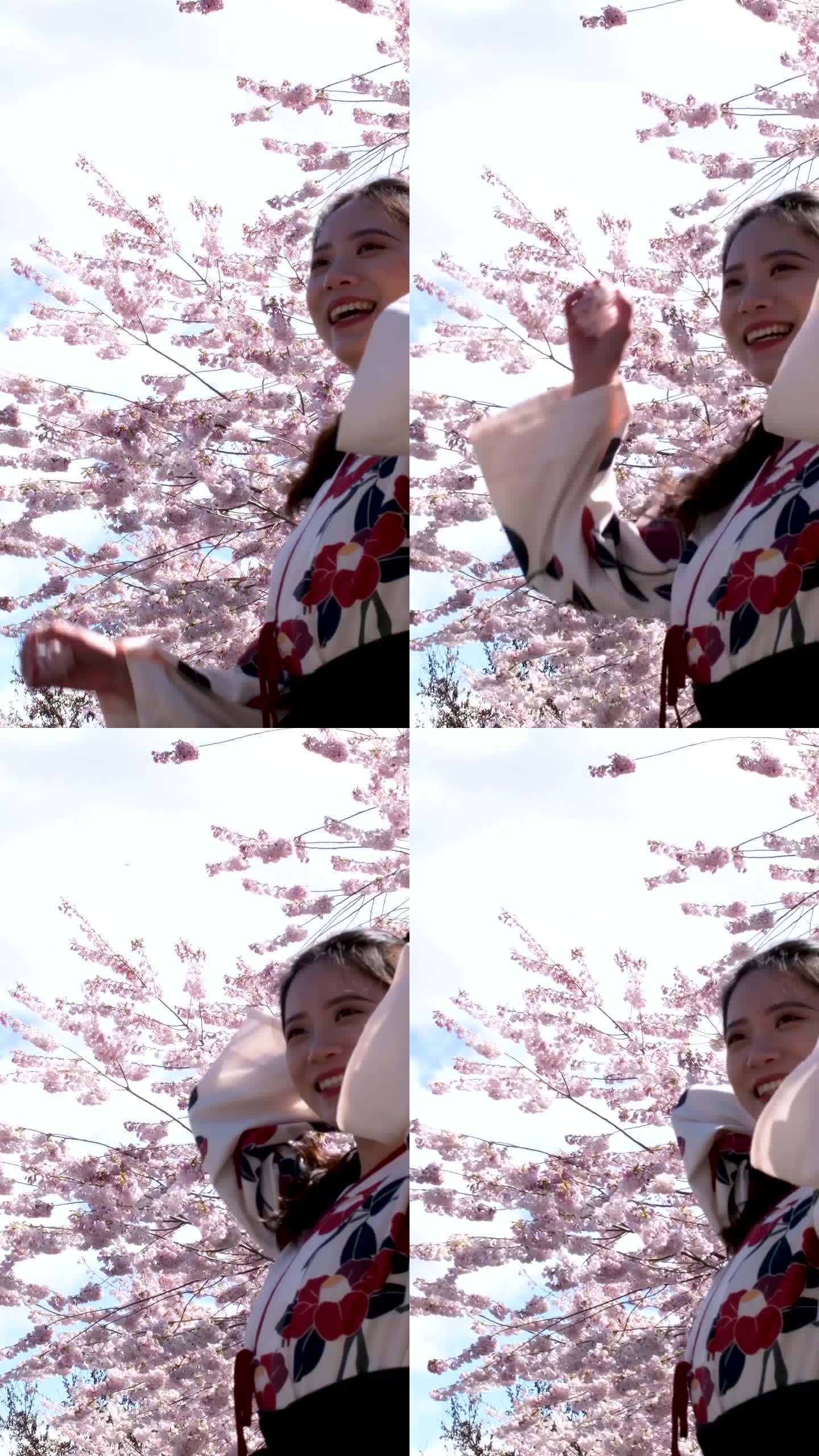 美丽的亚洲女人笑着甩着她的头发，在樱花的背景下，蓝天白云绣花的日本民族服装，中国朝鲜族明亮的脸年轻的