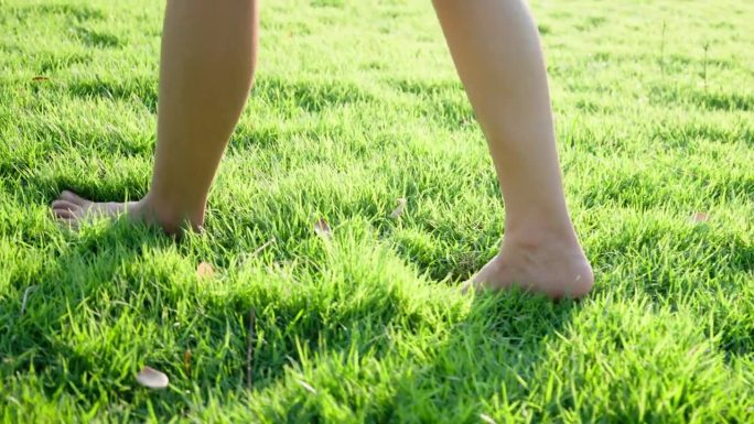 光着脚在草地上走。赤脚踩在公园草坪上的特写镜头