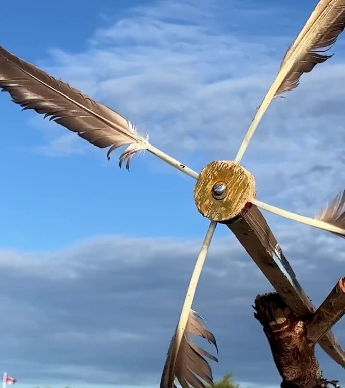 木头房子用童年时的木板在海上房子上的风车螺旋桨是用一只大鸟鹰的羽毛做的海滨小屋用暴风雨中折断的树做的