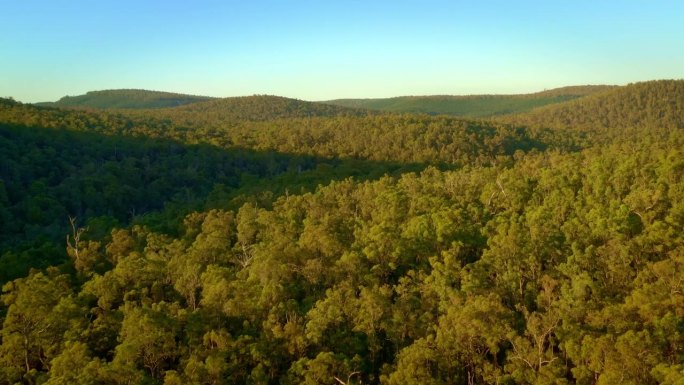 南加溪在西澳大利亚的Lane Pool保护区，森林保护区有jarrah, wandoo, marri