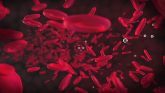 移动的血细胞是红细胞。红色圆形粒子的3D动画。血管中血液的流动