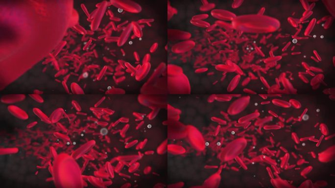 移动的血细胞是红细胞。红色圆形粒子的3D动画。血管中血液的流动