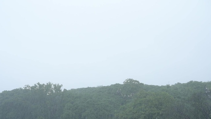 慢动作场景，一个风景优美的绿色景观，在雨季，山景