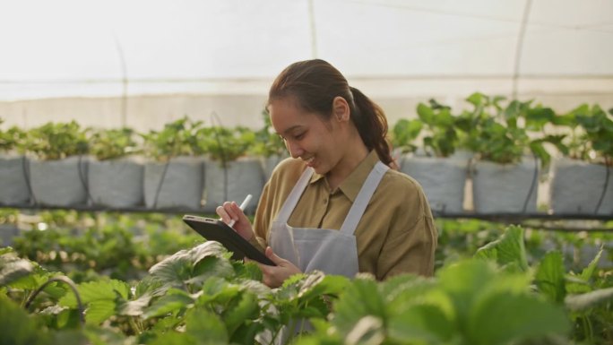 智能农业农民在蔬菜农场使用数字平板电脑