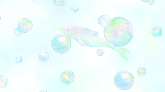 白鲸在水中悠闲地游泳的循环动画，美丽的气泡摇摆。