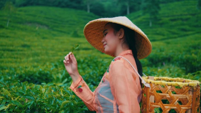 在茶园中央，一位采茶农民手里拿着一片茶叶