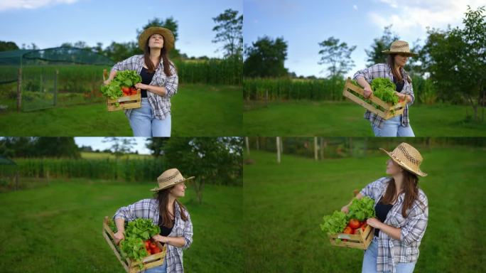 SLO MO快乐的女农民，穿着太阳帽，背着板条箱里的蔬菜，走在草地上